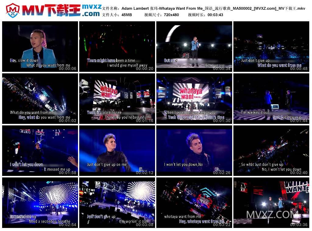 Adam Lambert 张玮-Whataya Want From Me_国语_流行歌曲_MA500002